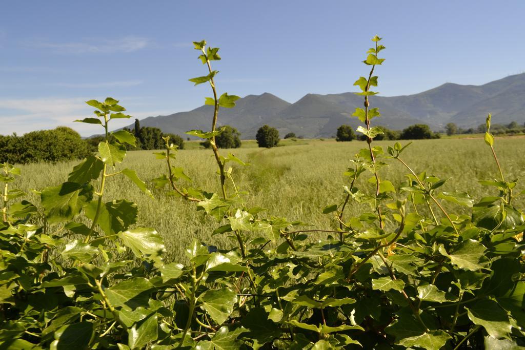 B&B Glicine E Luna Cascina Εξωτερικό φωτογραφία